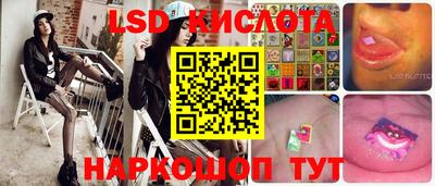 гидра Краснодар