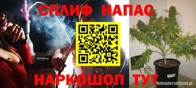 гидра Краснодар