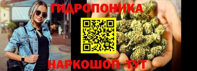 a pvp Краснознаменск