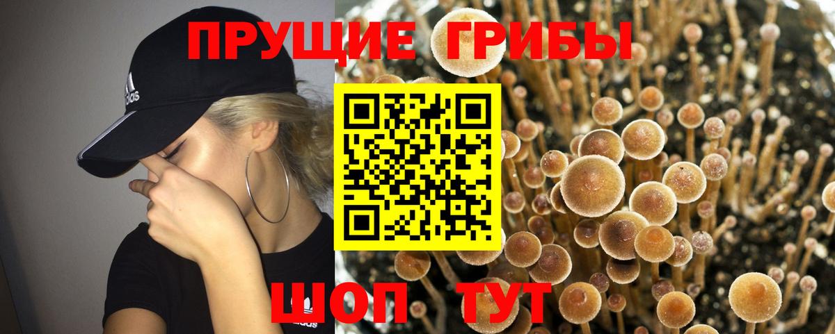 Галлюциногенные грибы мухоморы Ипатово